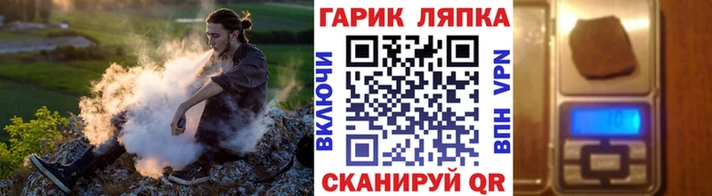 ГАШ гарик  ОМГ ОМГ рабочий сайт  Кораблино 