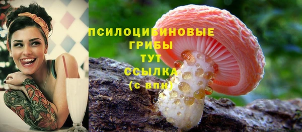 прущие крисы Абаза